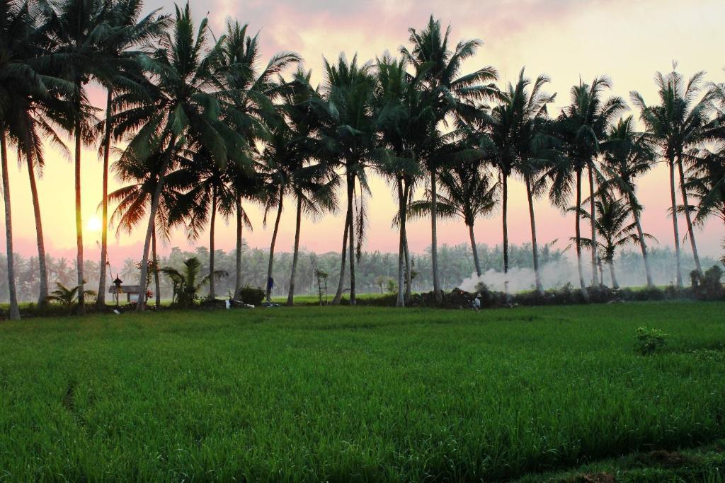 Bhuwana Ubud Hotel And Farming Exterior foto